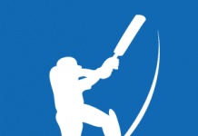 cricket--deskworldwide.com